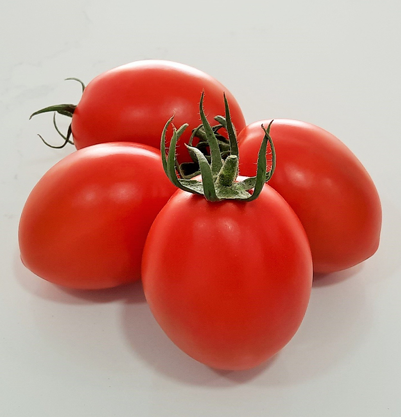 Tomate Tenaz. Semillas Nezzalez S.L.