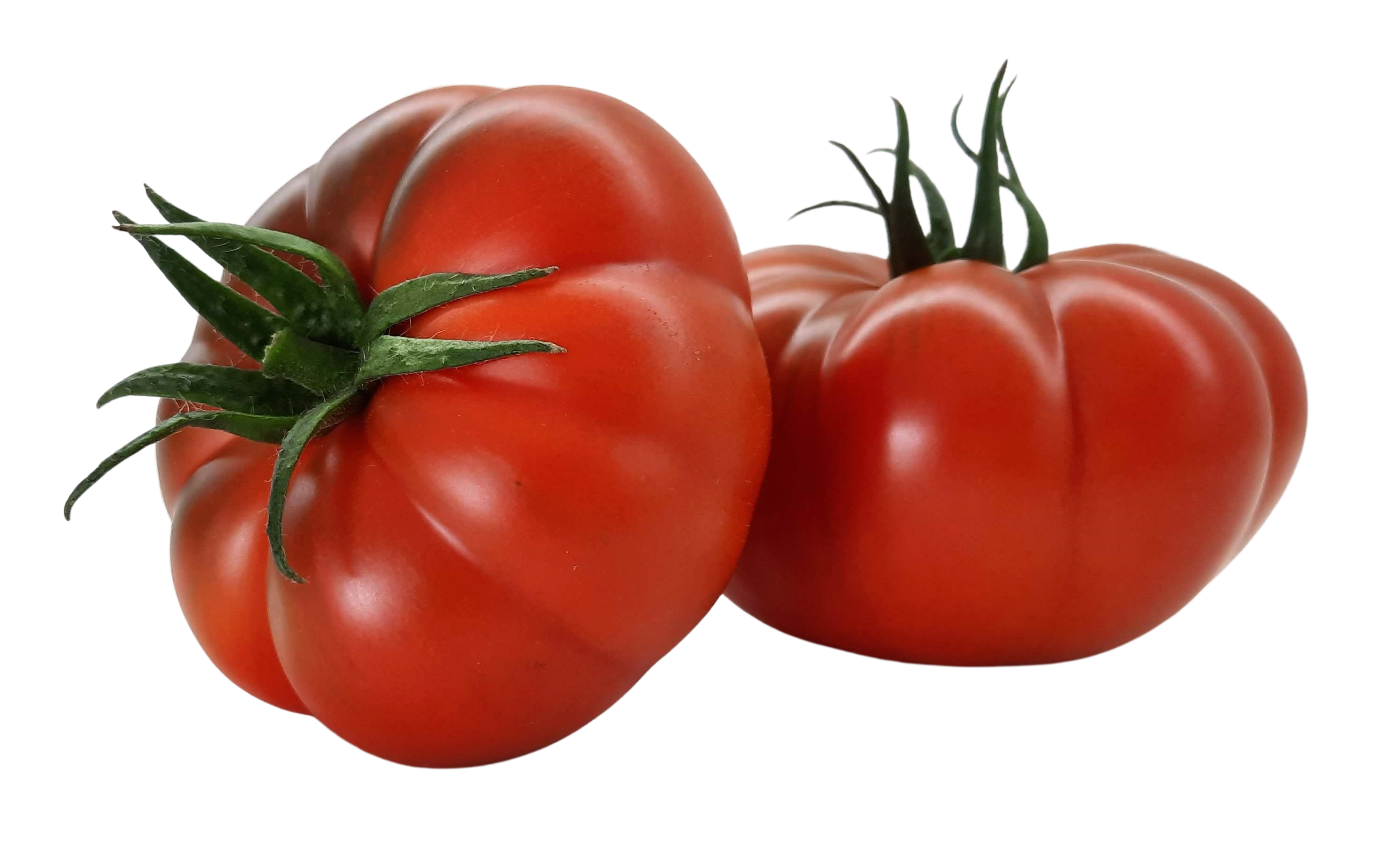 Tomate Vaibén. Semillas Nezzalez S.L. Tomate Vaibén. Semillas Nezzalez S.L.