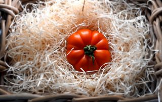 Tomate Vaibén. Semillas Nezzalez S.L.