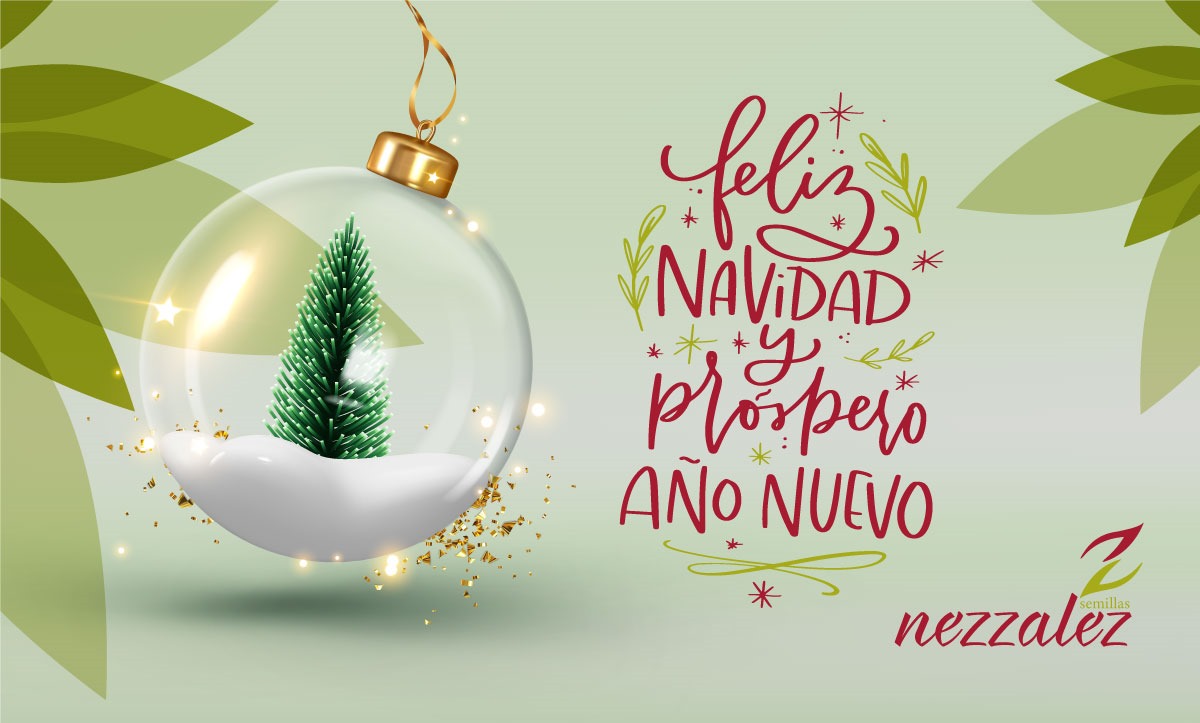 Feliz Navidad y próspero año nuevo