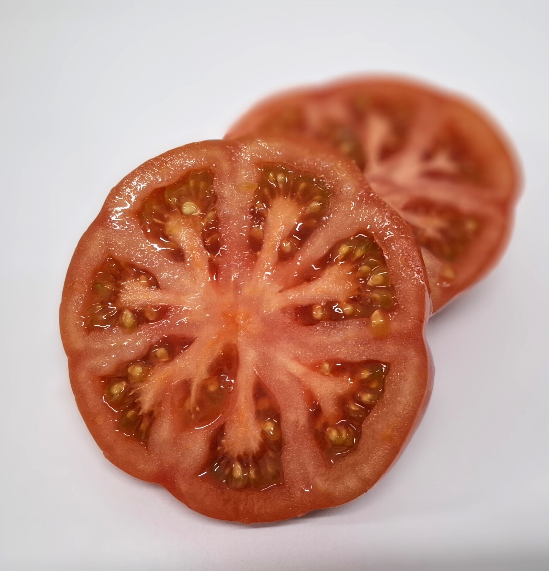 Tomate Pínkez. Semillas Nezzalez S.L.